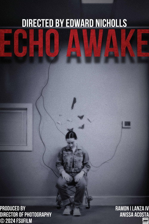 Movie poster for Echo Awake (2024)