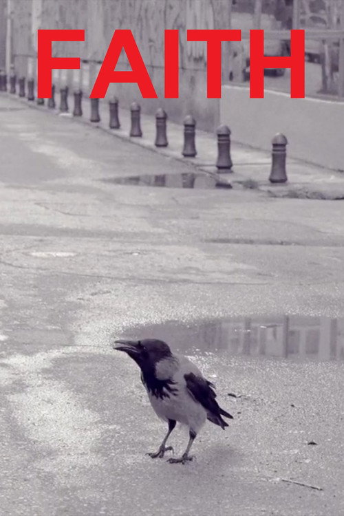 Movie poster for Faith (2024)