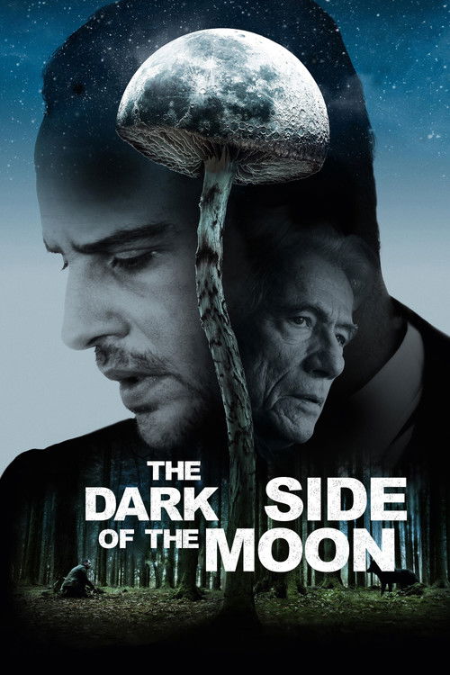 Movie poster for The Dark Side of the Moon (2016)
