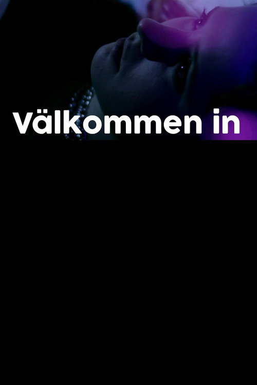 Movie poster for Välkommen in (2013)