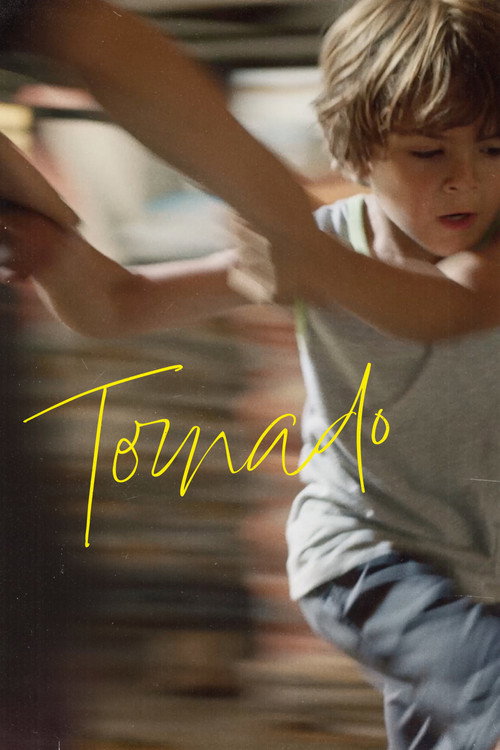 Movie poster for Tornado (2024)