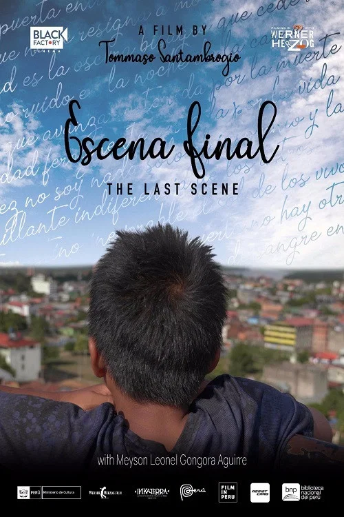 Movie poster for The Last Scene (2019)