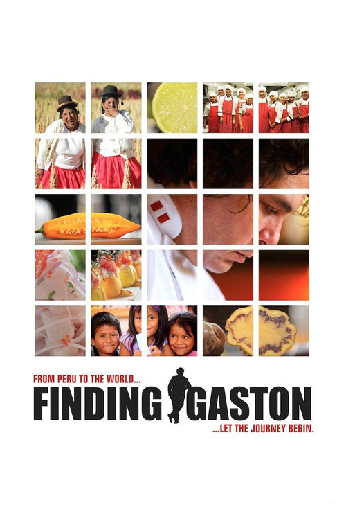 Movie poster for Finding Gastón (2014)