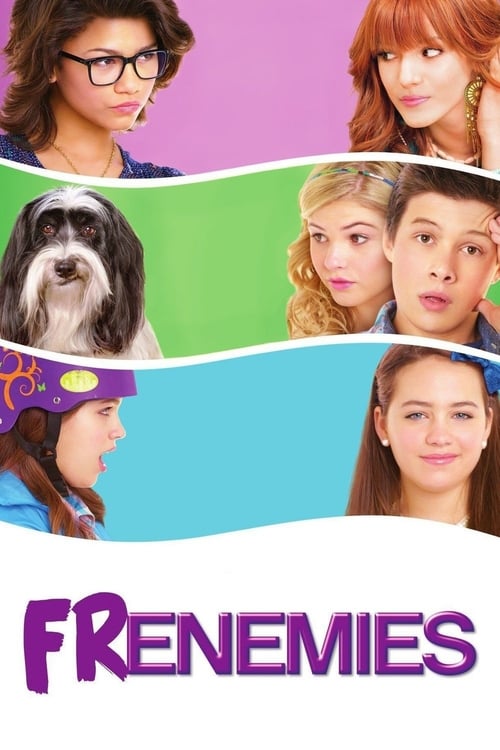 Movie poster for Frenemies (2012)