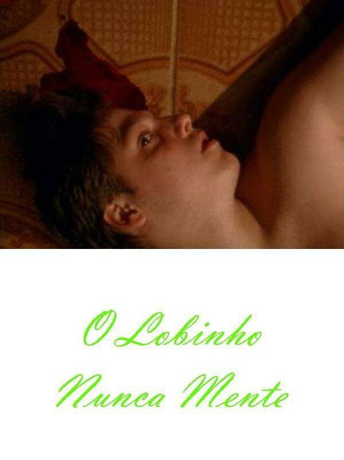 Movie poster for O Lobinho Nunca Mente (2007)