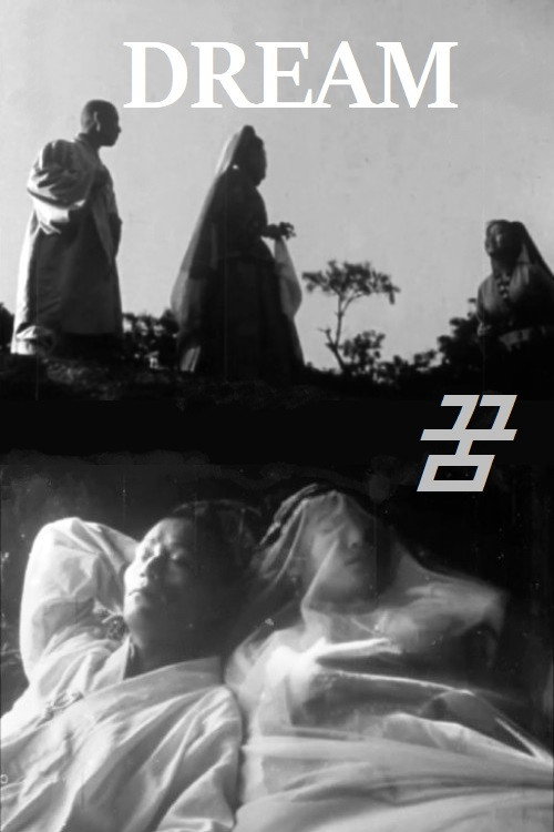 Movie poster for Dream (1955)