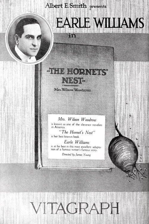 Movie poster for Hornet's Nest (1919)