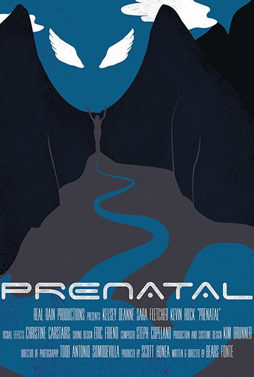Movie poster for Prenatal (2016)