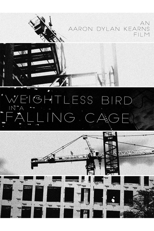 Movie poster for Weightless Bird In A Falling Cage (2017)