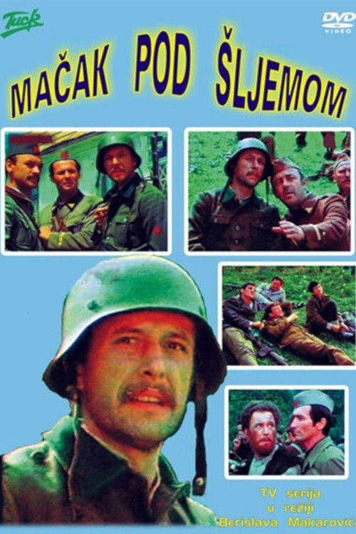 Cat Under a Helmet poster