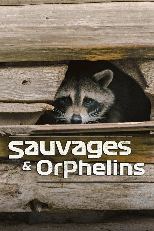 Sauvages et orphelins poster
