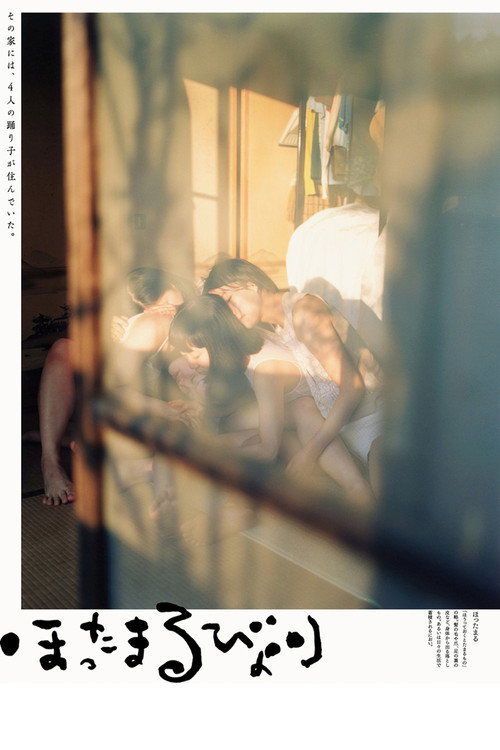 Movie poster for hottamaru・days (2016)