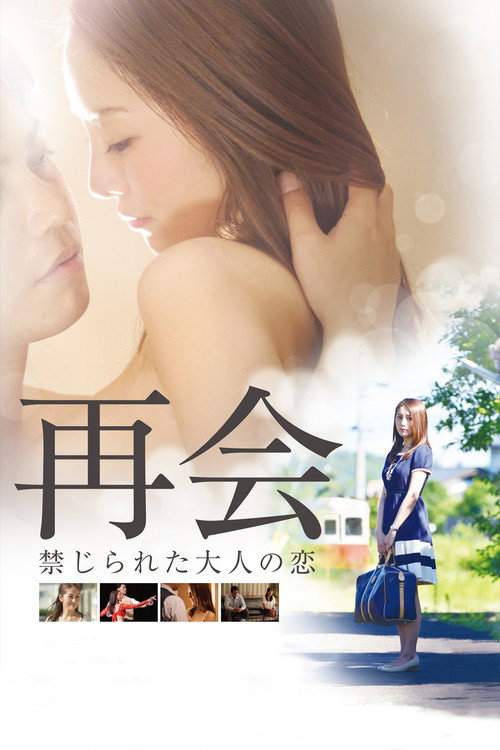 Movie poster for The Reunion: Forbiddden Love (2016)