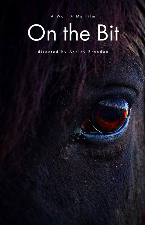 Movie poster for On the Bit