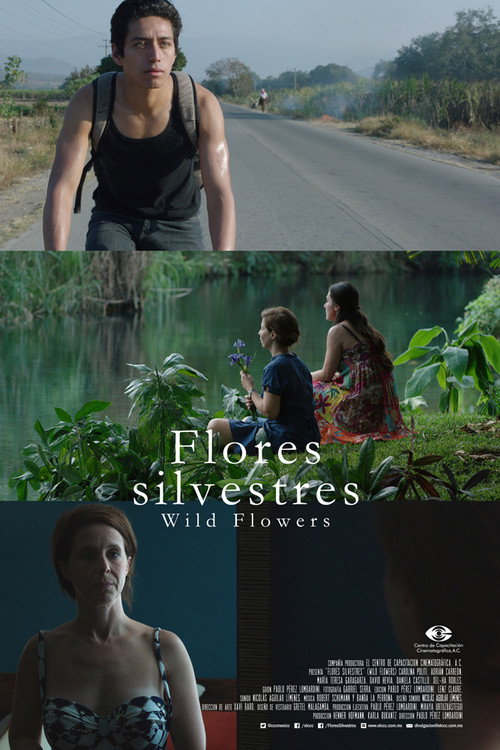 Movie poster for Wild Flowers (2015)