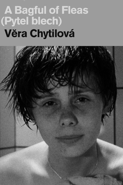 Movie poster for A Bagful of Fleas (1963)