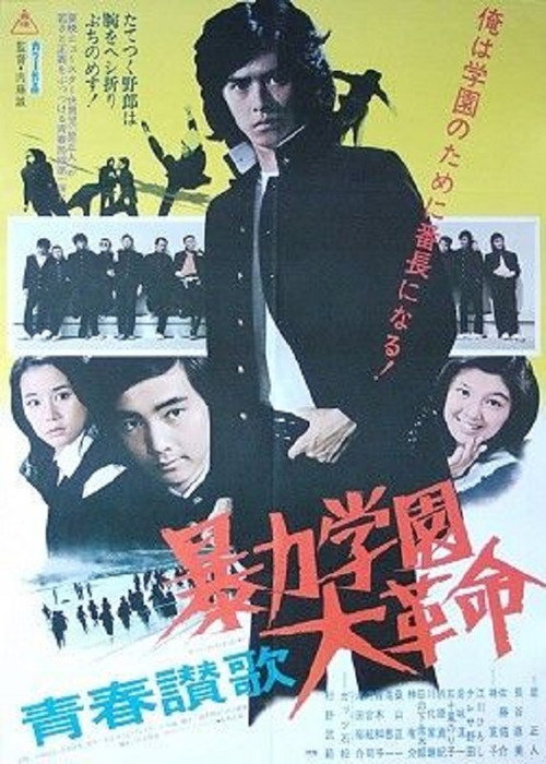 Movie poster for A Violent School Revolution (1975)