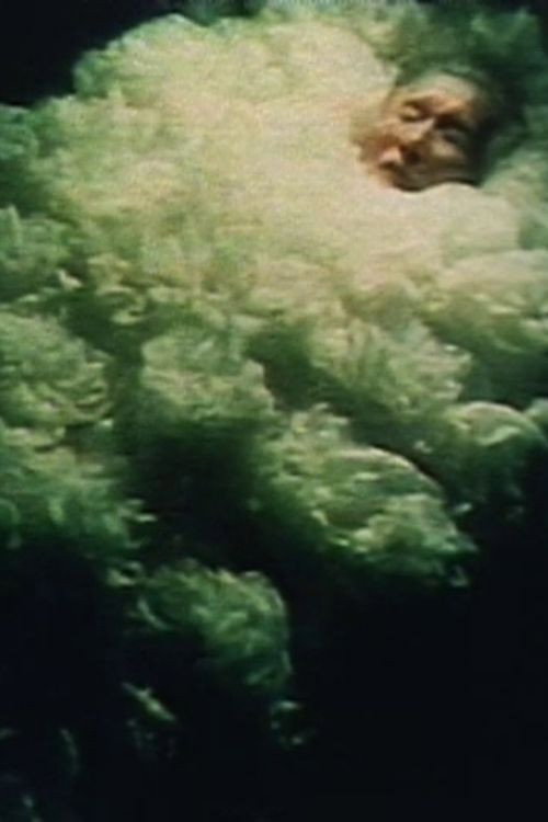Movie poster for The Sleeping Flower (1991)