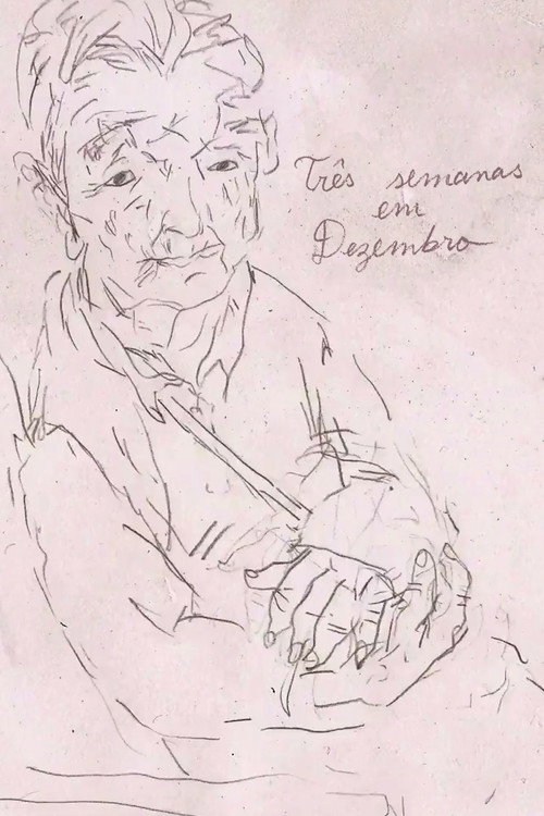 Movie poster for Três Semanas em Dezembro (2013)