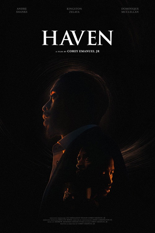 Movie poster for Haven (2024)