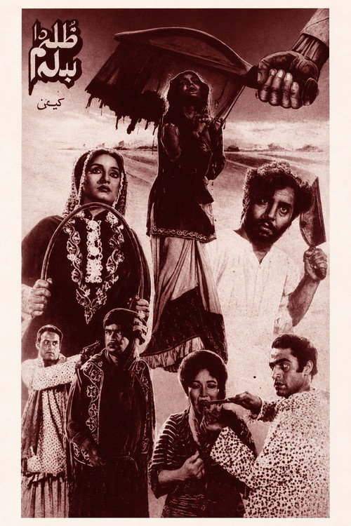 Movie poster for Revenge for Injustice (1972)