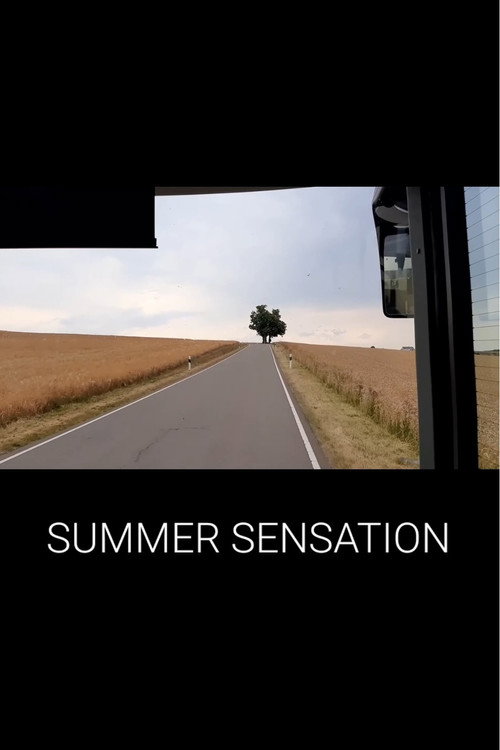 Movie poster for Summer Sensation (2022)