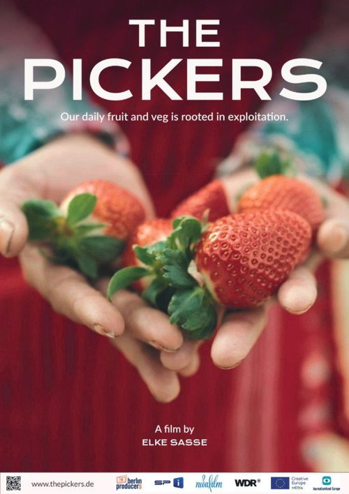 Movie poster for The Pickers (2026)