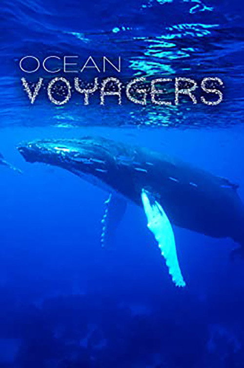 Movie poster for Ocean Voyagers (2007)