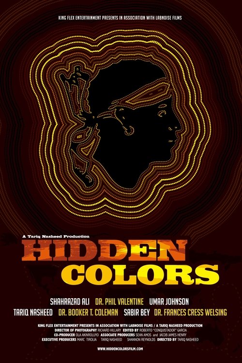 Movie poster for Hidden Colors (2011)