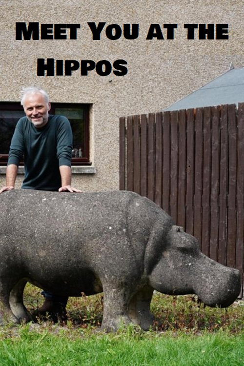 Movie poster for Meet You at the Hippos (2021)