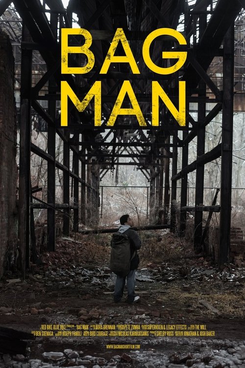 Movie poster for Bag Man (2014)