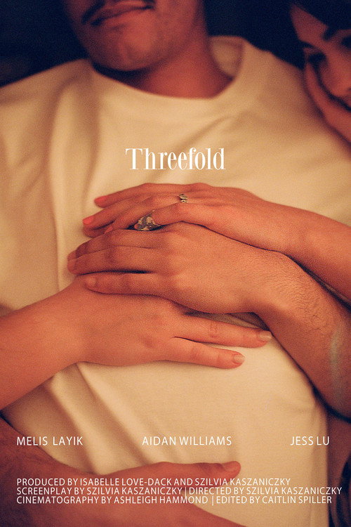 Movie poster for Threefold (2026)