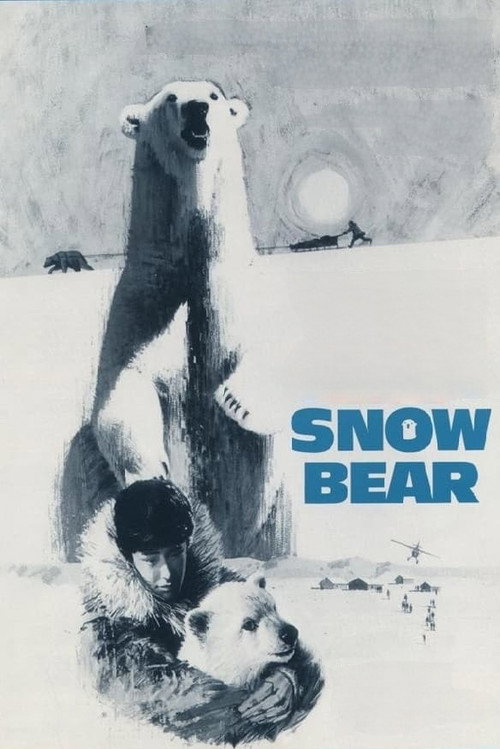 Movie poster for Snow Bear (1970)