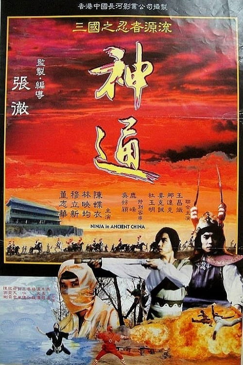 Movie poster for Ninja in Ancient China (1993)