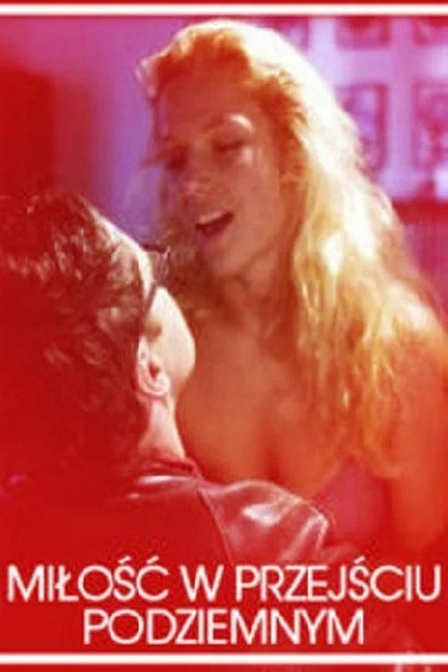 Movie poster for Love in an Underground Passage (2007)