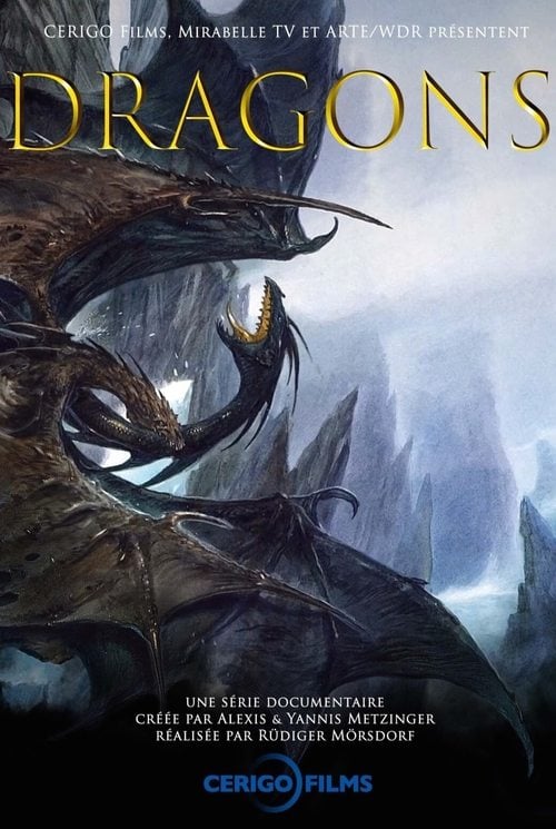 Series poster for Dragons (2018)