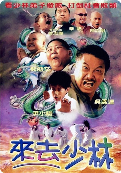 Movie poster for 来去少林 (2003)