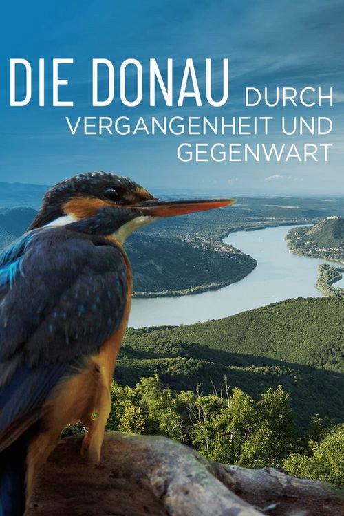 Movie poster for Die Donau – Durch Vergangenheit und Gegenwart (2021)