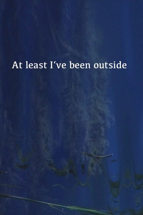 Movie poster for At Least I've Been Outside (2021)