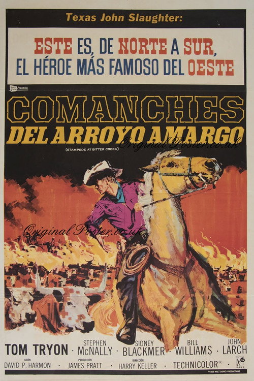 Movie poster for Stampede at Bitter Creek (1962)