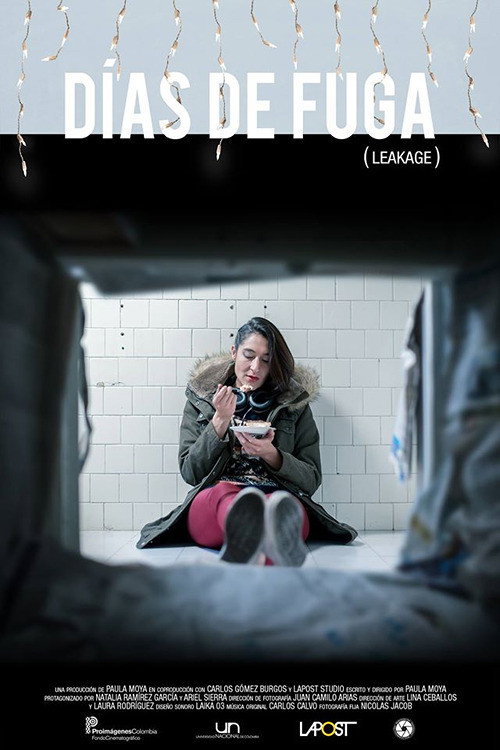 Movie poster for Días de Fuga (2016)
