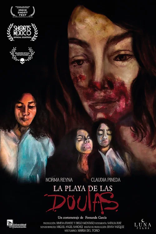 Movie poster for La playa de las doulas (2021)