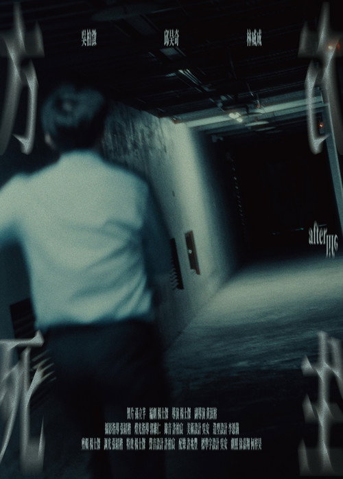 Movie poster for Afterlife (2025)