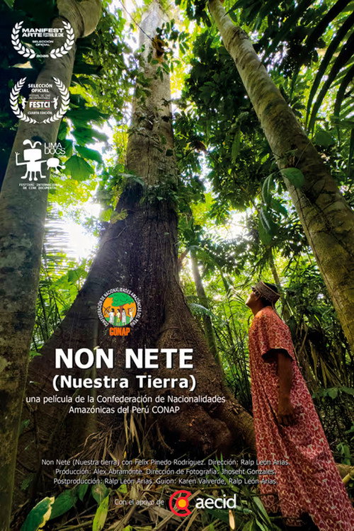 Movie poster for Non Nete (2025)