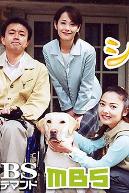 Movie poster for Cynthia: Kaijoken Tanjou Monogatari (2003)