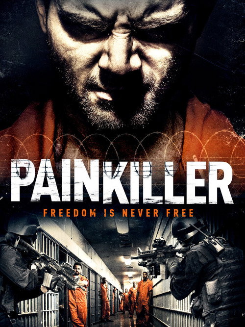 Movie poster for Painkiller (2013)