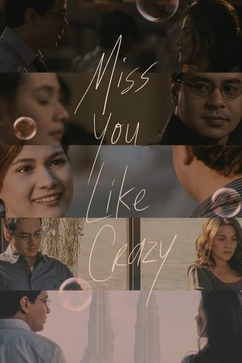Movie poster for Miss You Like Crazy (2010)