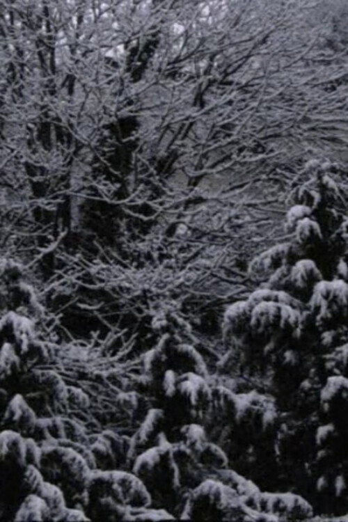 Movie poster for Snow Film (2019)