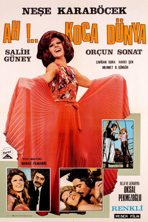 Movie poster for Ah Koca Dünya (1972)