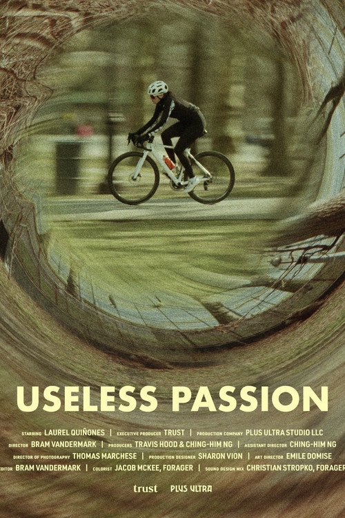 Movie poster for Useless Passion